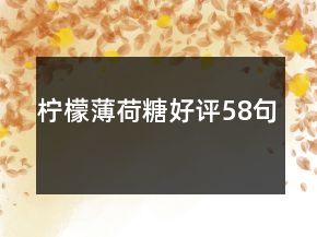 柠檬薄荷糖好评58句