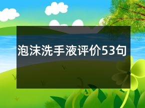 泡沫洗手液评价53句