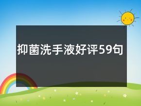 抑菌洗手液好评59句