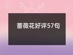 蔷薇花好评57句