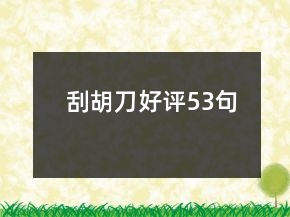 刮胡刀好评53句