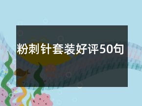 粉刺针套装好评50句