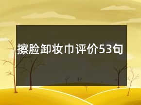 擦脸卸妆巾评价53句
