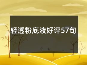 轻透粉底液好评57句