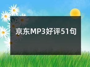 京东MP3好评51句