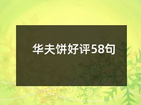 华夫饼好评58句