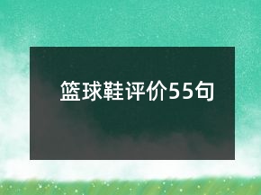 篮球鞋评价55句