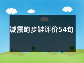 减震跑步鞋评价54句