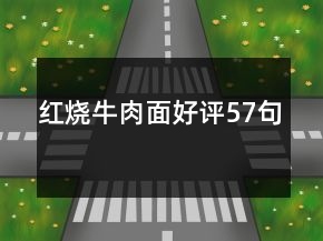 红烧牛肉面好评57句