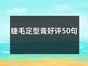 睫毛定型膏好评50句
