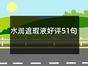 水润遮瑕液好评51句