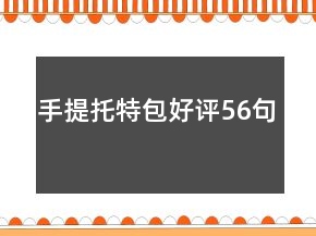手提托特包好评56句