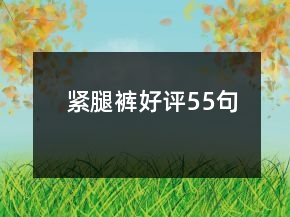 紧腿裤好评55句