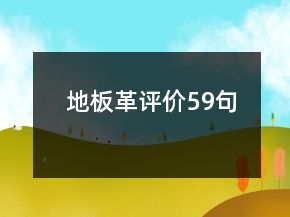 地板革评价59句