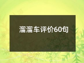 溜溜车评价60句