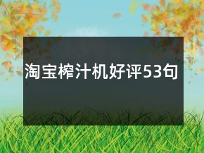 淘宝榨汁机好评53句