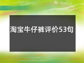 淘宝牛仔裤评价53句
