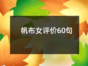 帆布女评价60句