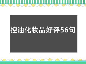 控油化妆品好评56句