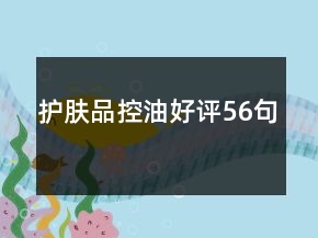 护肤品控油好评56句