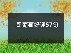 黑葡萄好评57句