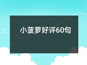 小菠萝好评60句