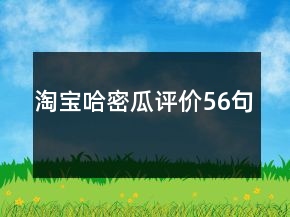 淘宝哈密瓜评价56句