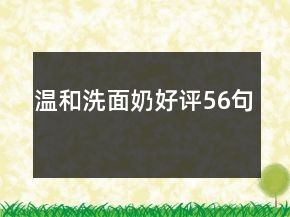温和洗面奶好评56句