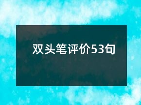 双头笔评价53句