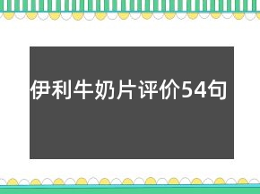 伊利牛奶片评价54句
