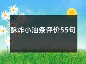 酥炸小油条评价55句