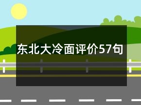东北大冷面评价57句