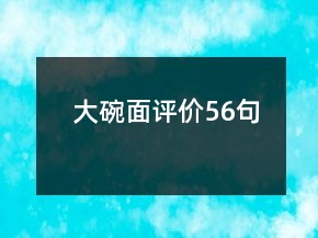 大碗面评价56句
