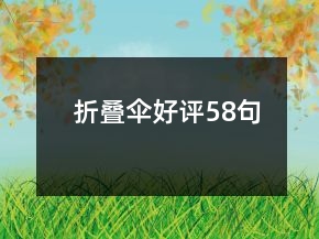 折叠伞好评58句