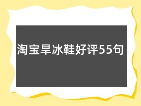 淘宝旱冰鞋好评55句