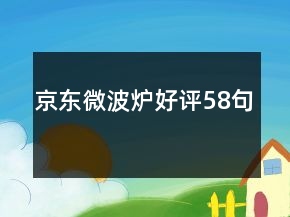 京东微波炉好评58句