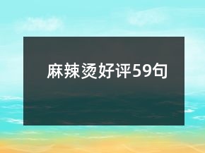 麻辣烫好评59句