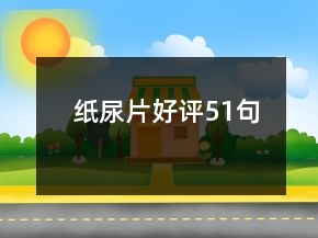 纸尿片好评51句