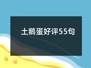土鹅蛋好评55句