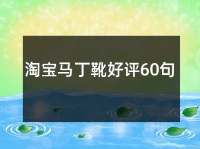 淘宝马丁靴好评60句