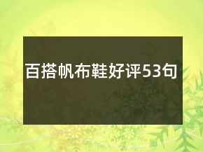 百搭帆布鞋好评53句