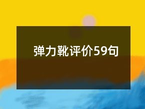 弹力靴评价59句