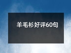 羊毛衫好评60句