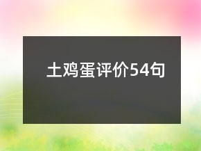 土鸡蛋评价54句
