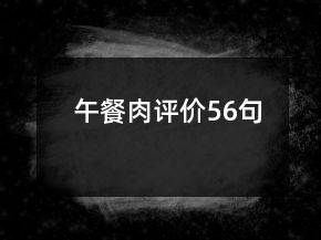 午餐肉评价56句