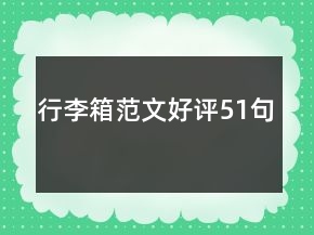 行李箱范文好评51句