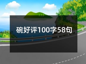 碗好评100字58句