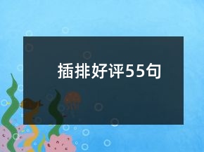 插排好评55句