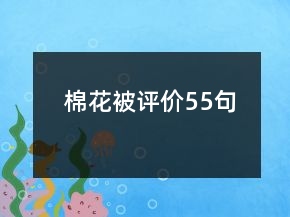 棉花被评价55句