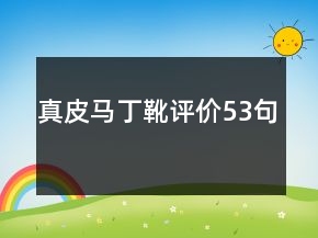 真皮马丁靴评价53句